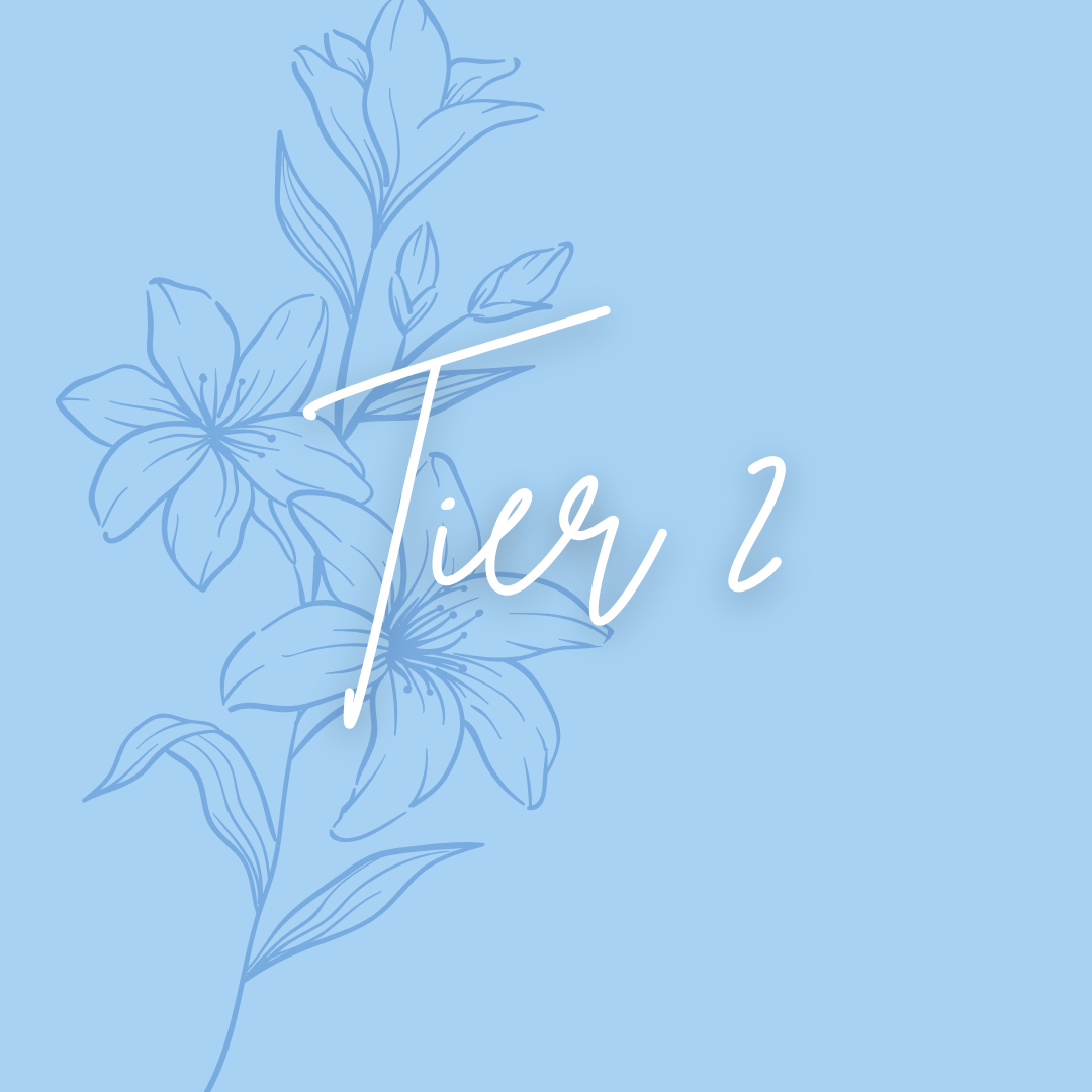Custom Order - Tier 2