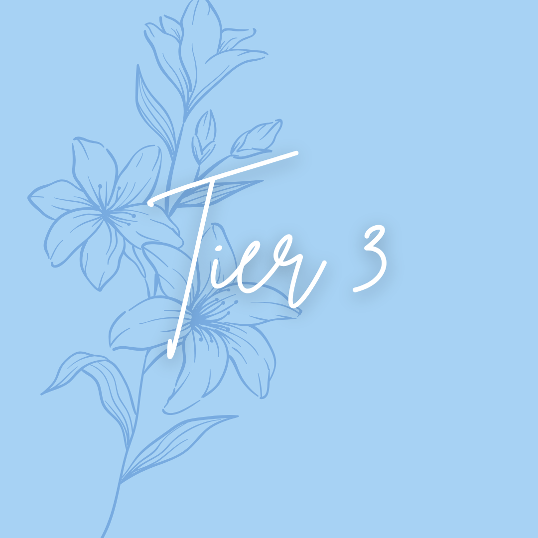 Custom Order - Tier 3